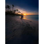 🌸あの場所で｜偶然の再会、声をかけられなかった元恋人｜泣ける大人の恋愛バラード💔【泣ける恋愛バラード】